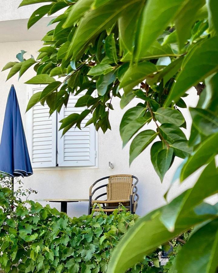 פטרצ'אנה Apartments Leo מראה חיצוני תמונה